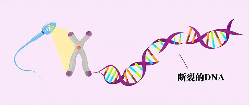 危险信号：全球53个国家的男性精子数量平均下降了62%